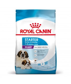 Dog Starter Mother & Babydog Giant