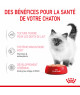 Cat Kitten Mousse sachet repas
