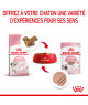 Cat Kitten Mousse sachet repas