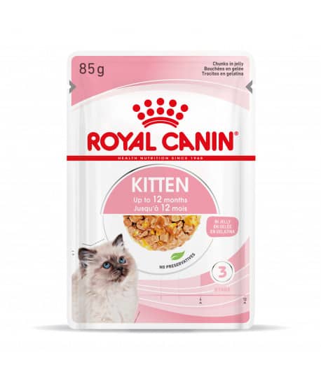 Cat Kitten Bouchées en gelée