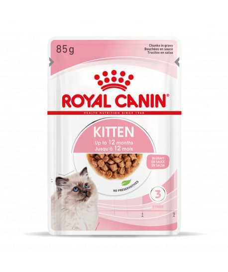 Cat Kitten Bouchée en Sauce