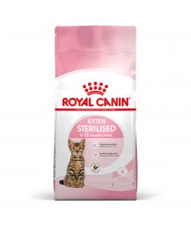 Cat Kitten Sterilised