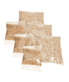 Herbe à chat à ensemencer Catit Senses 2.0