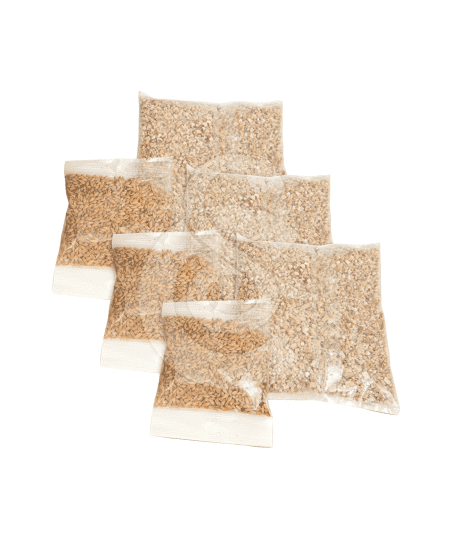 Herbe à chat à ensemencer Catit Senses 2.0