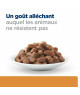 Chat K/D Boeuf Sachet Repas
