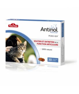 Antinol chat