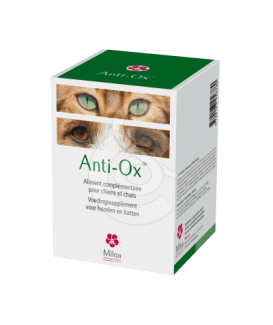 Anti Ox