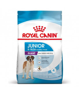 Dog Junior Giant
