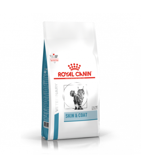 Cat Skin & Coat