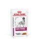 Dog Early Renal Sachet repas