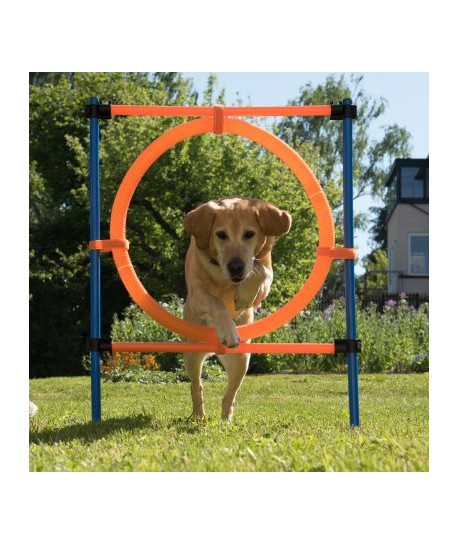 Agility : Anneau Dog Activity