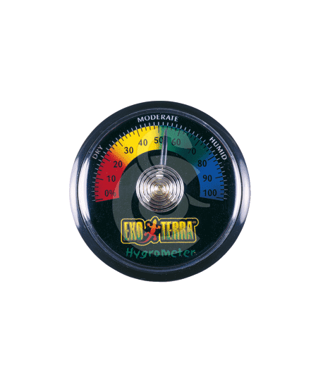 Hygromètre à aiguille pour terrarium