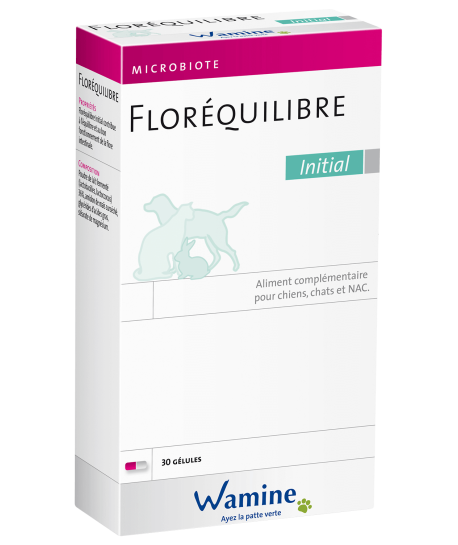 FlorÉquilibre Initial