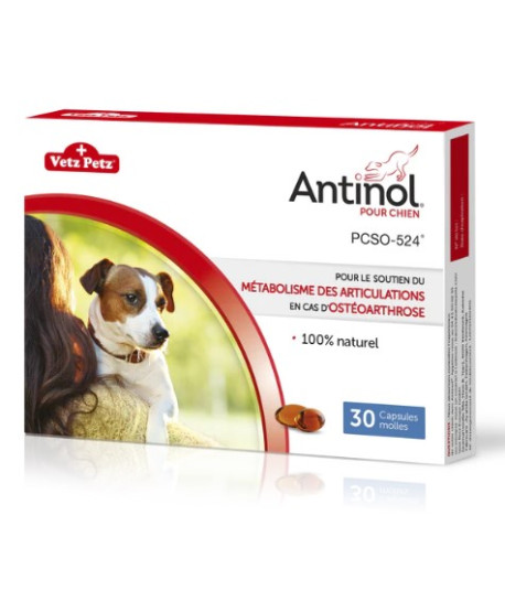 Antinol chien