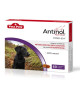 Antinol chien