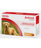 Antinol chien