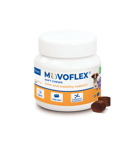 Movoflex Chien M