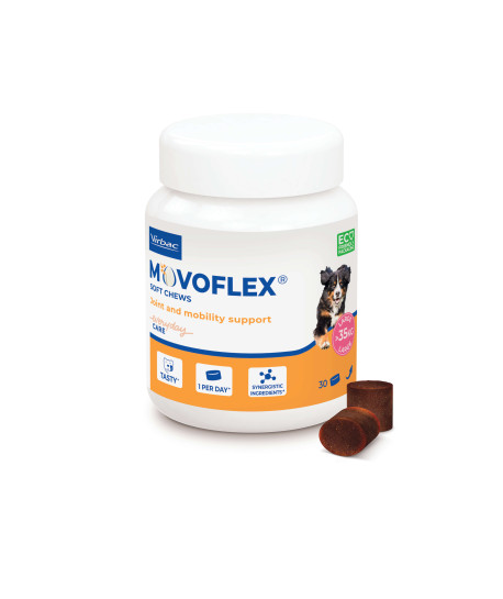 Movoflex Chien L