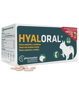 Hyaloral Chiot, petites et moyennes races