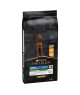 Pro Plan Dog Large Athletic Puppy Healthy Start Poulet