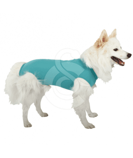 Gilet DogBody VetMedCare pour chien