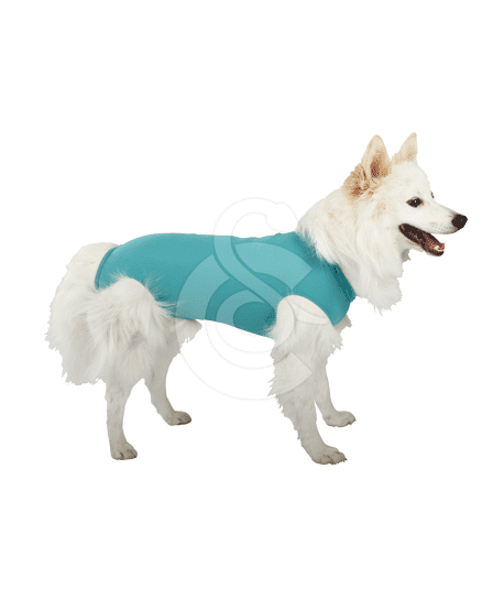 Gilet DogBody VetMedCare pour chien