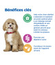 Chien Multi-Benefit+ Weight Adult 1+ Small / Mini
