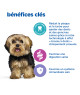 Chien Multi-Benefit+ Dental Adult1+ Small-Mini