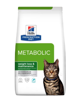 Chat Metabolic Thon