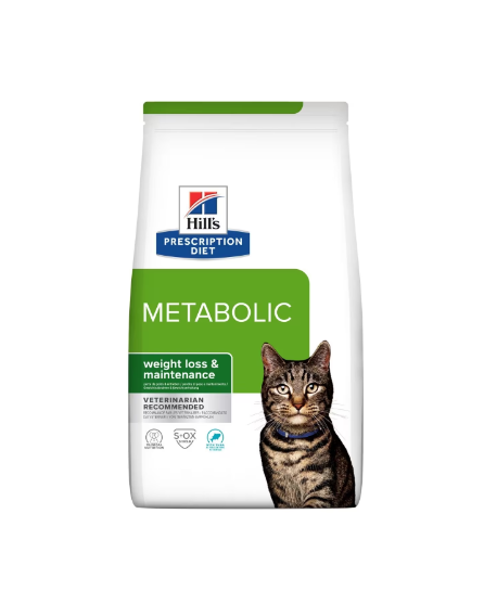 Chat Metabolic Thon