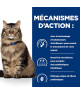 Chat Gastrointestinal Biome Poulet