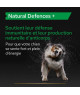 Pro Plan Natural Defences + Chien