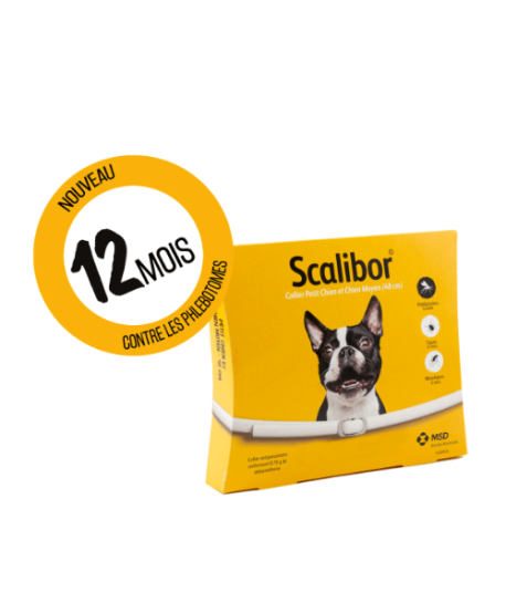 Scalibor collier Petit et Moyen Chien