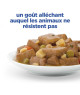 Chien Multi-Benefit+ Adult1+ Poulet / Légumes