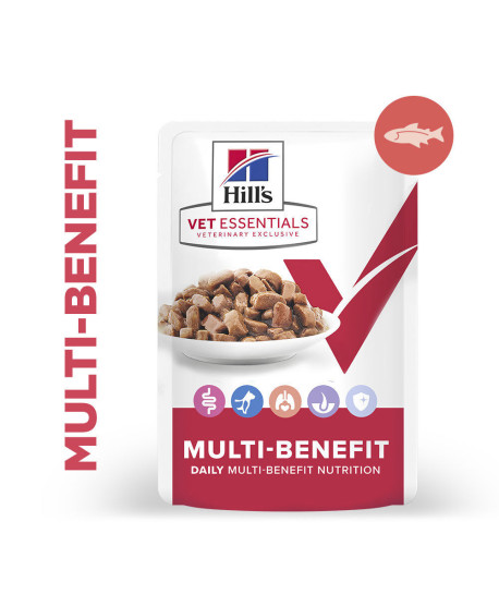 Chat Multi-Benefit Adult 1+ Saumon