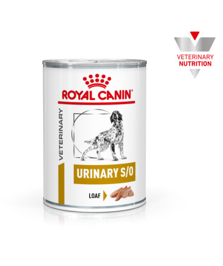 Dog Urinary S/O Boîte