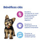 Chien Multi-Benefit Puppy Small / Mini
