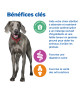 Chien Multi-Benefit+ Weight Adult 1+ Large Breed Poulet