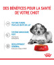 Dog Puppy Medium Sachet repas