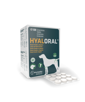 Hyaloral Grandes et très grandes races