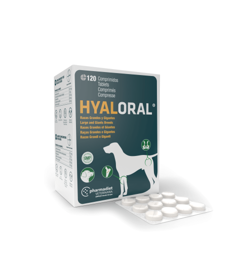 Hyaloral Grandes et très grandes races