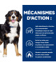 Chien j/d Metabolic + Mobility Poulet