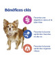 Chien Multi-Benefit Adult 1+ Small/Mini Agneau Riz