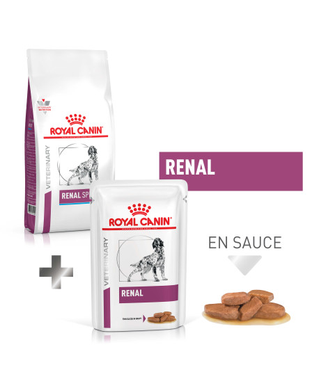 Pack Dog Renal Special + Sachets Repas Dog Renal