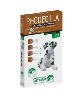 Rhodeo L.A. Grand Chien