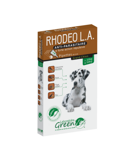 Rhodeo L.A. Grand Chien