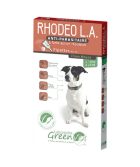 Rhodeo L.A. Moyen Chien
