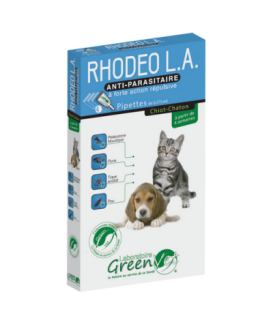 Rhodeo L.A. Chiot et Chaton
