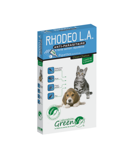 Rhodeo L.A. Chiot et Chaton