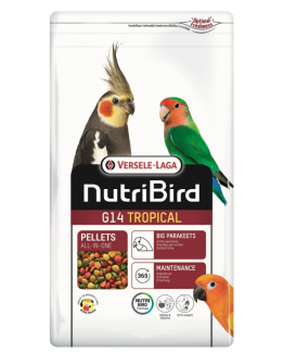 Nutribird grandes Perruches g14 Tropical(extrudé)